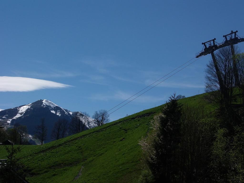 Haus Bergheim Apartment Saalbach-Hinterglemm Ngoại thất bức ảnh