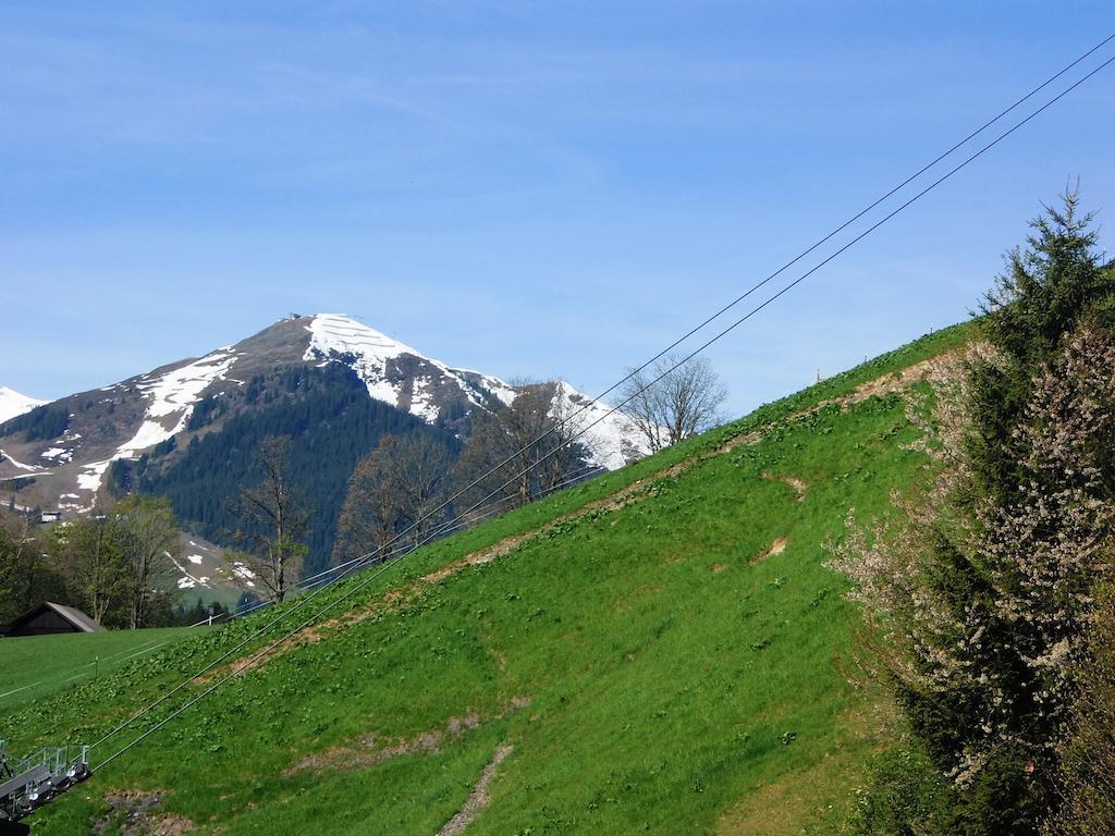 Haus Bergheim Apartment Saalbach-Hinterglemm Ngoại thất bức ảnh